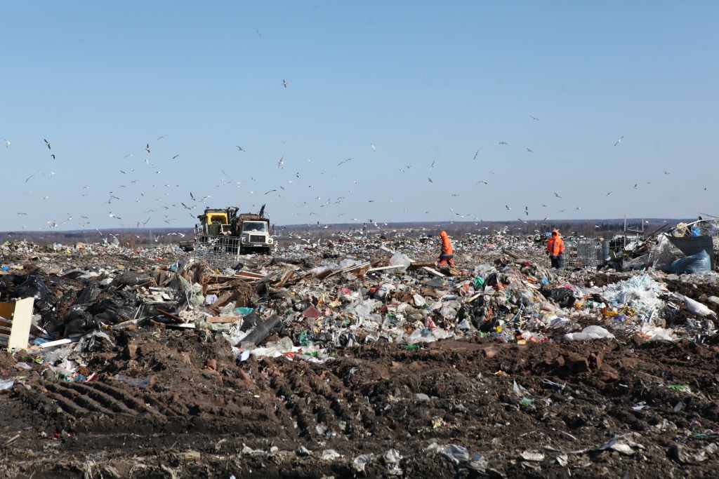 Озвучены сроки строительства новых мусоросортировочных станций в Ярославской области