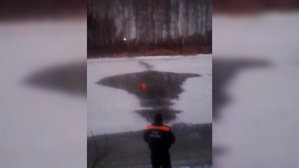 «Держись, Умка!»: ярославец бросился под лёд, спасая собаку