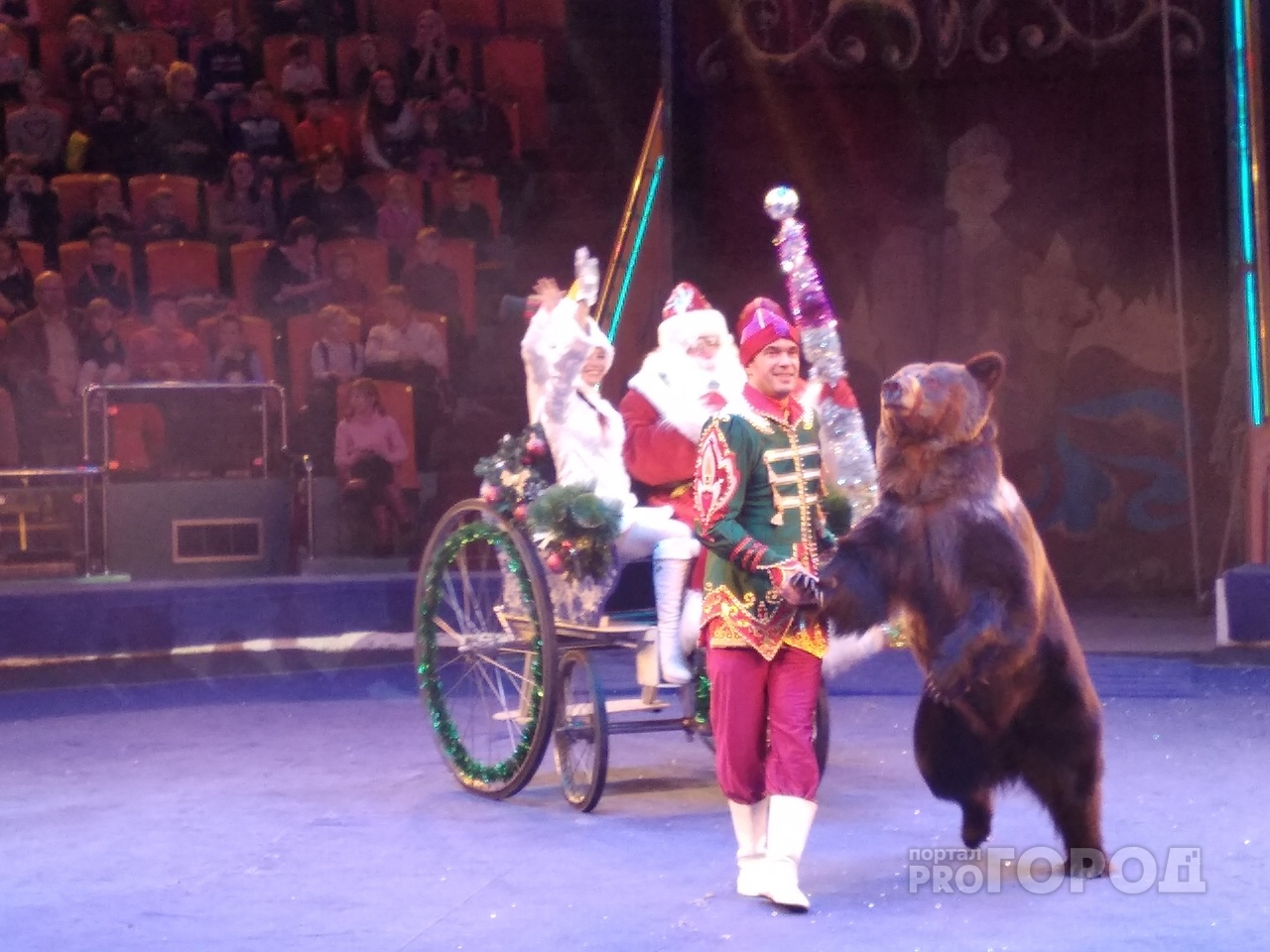 В Ярославском цирке горожанам раскроют "Тайну пиратов"