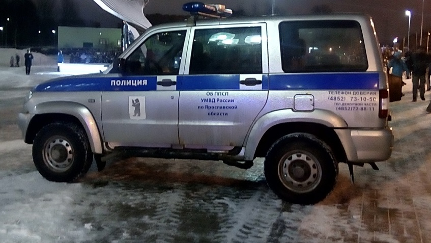 Жажда пилить: похитителя бензопил поймали под Ярославлем