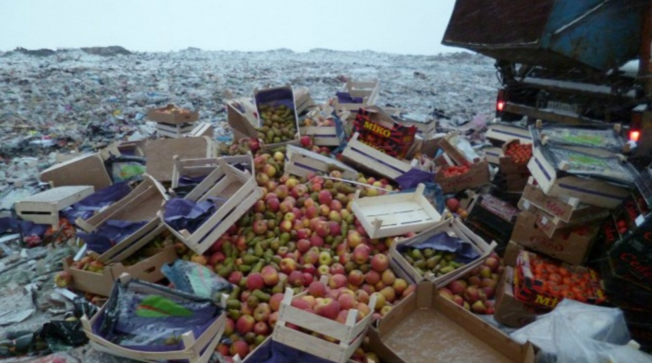 Две тонны овощей и фруктов переехал бульдозер в Ярославле