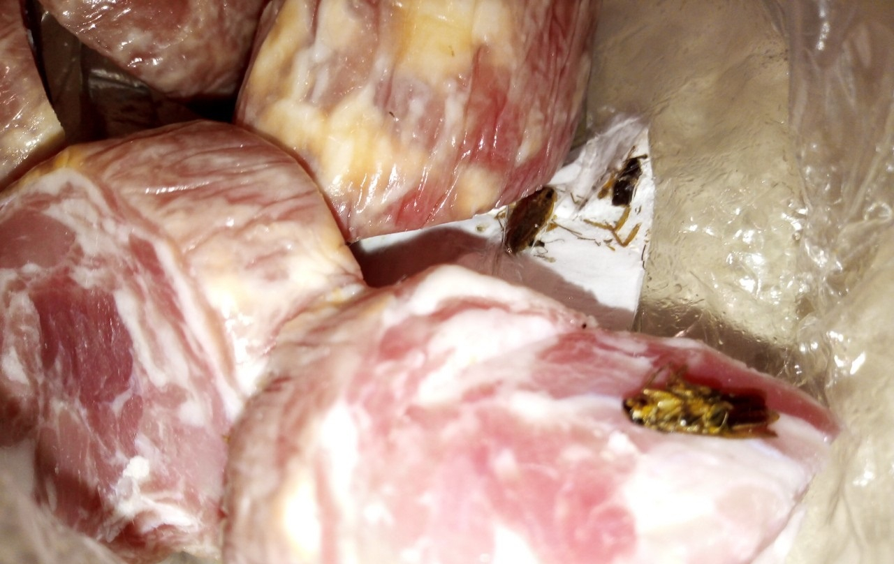Вот это приправа: мясо с тараканами нашли на ярославском рынке