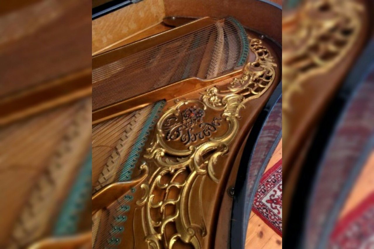 Цена шокирует: редкий музыкальный инструмент нашли в Ярославле