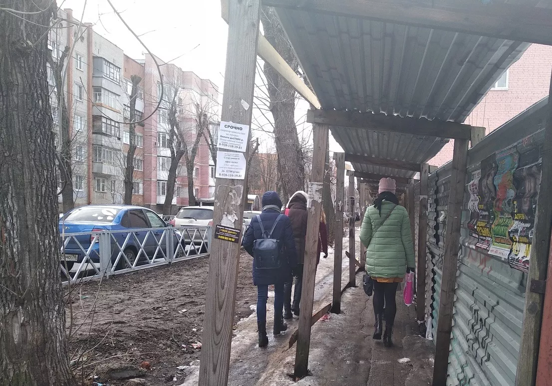 Фото к статье: Можно дешевле, но никак: власти ответили бунтующим против цен на проездные студентам Ярославля