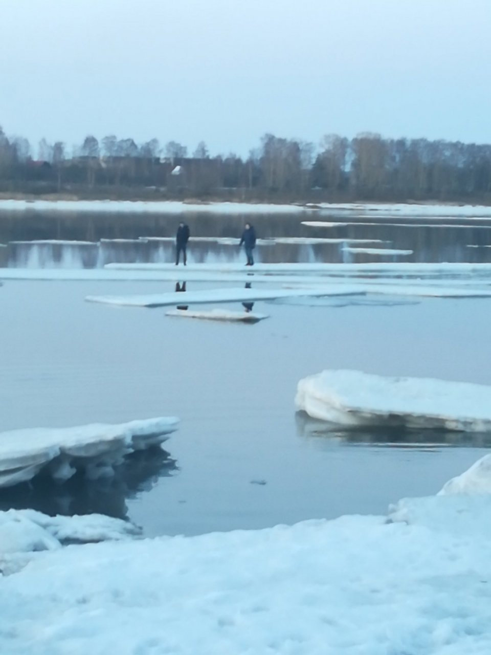 Подростков на  льдине унесло на середину Волги: кадры спасения из Рыбинска