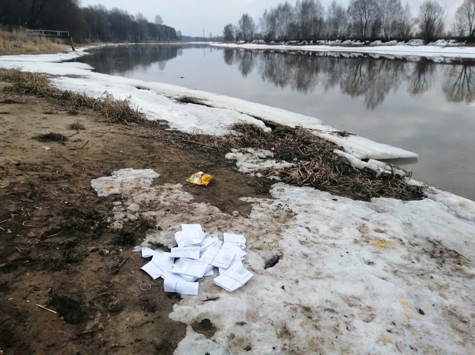 Люди ждут, а почтальоны выбрасывают: ярославцы нашли стопки с квитанциями на берегу реки