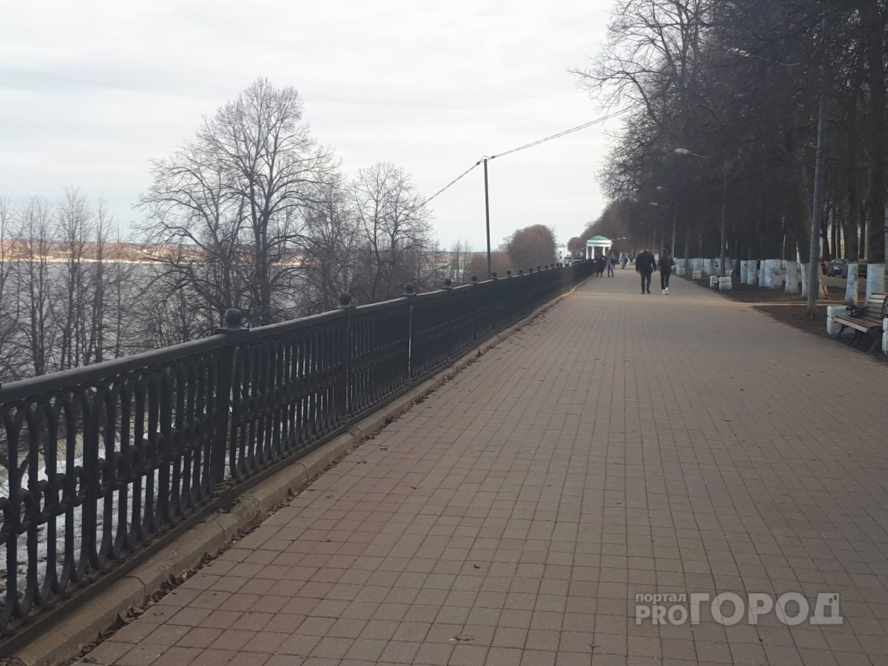 Обещают падение деревьев: спасатели экстренно предупреждают ярославцев