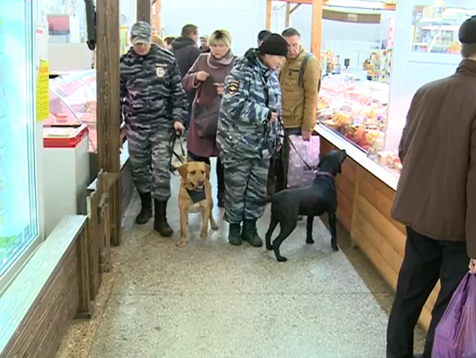 Силовики с собаками: неожиданная облава нагрянула на ярославский рынок