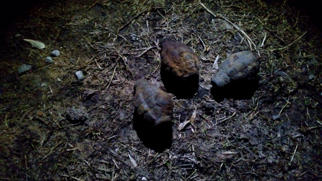 Могли рвануть в любой момент: гранаты первой степени опасности нашли в Ярославской области