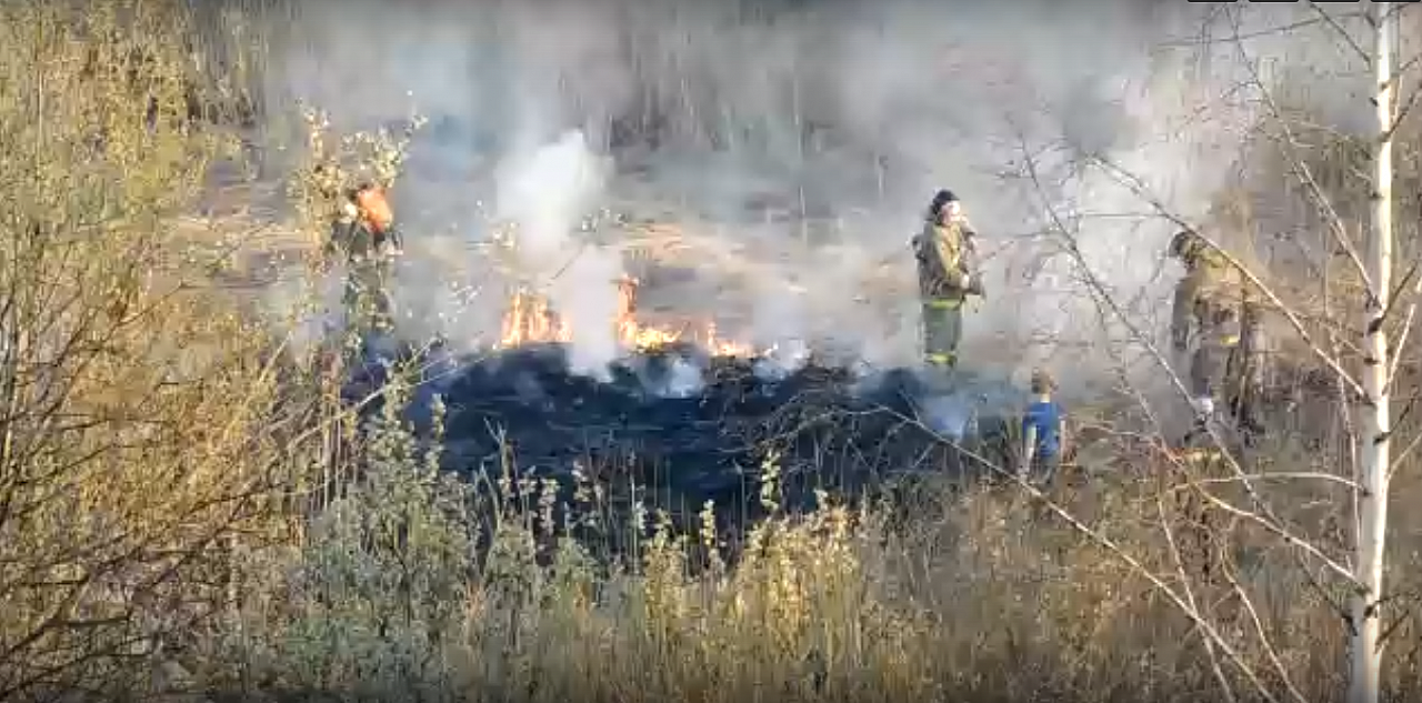 Опасные игры: дети бегают по полю, которое полыхает в огне в Рыбинске. Видео