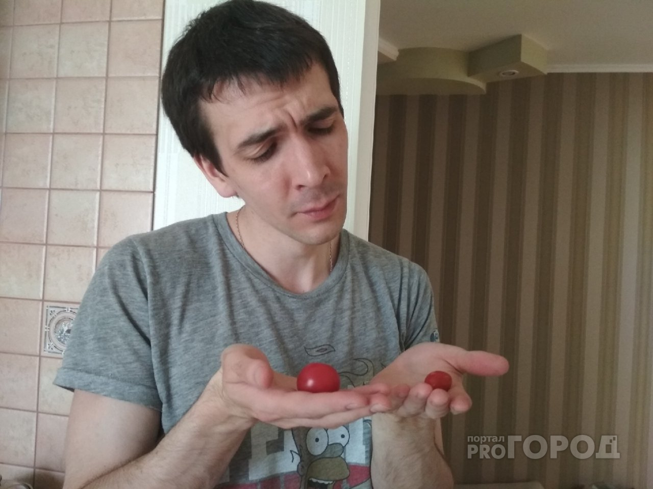 Как выбрать неядовитые огурцы и помидоры, рассказал агроном из Ярославля
