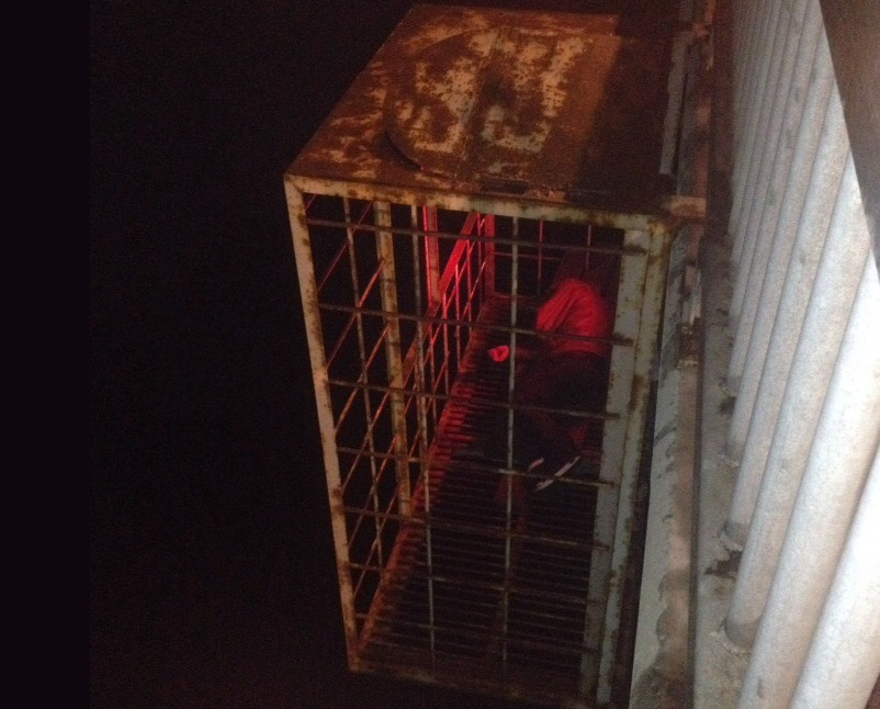 "Там же человек": мужчина в клетке повис над Волгой в Ярославле