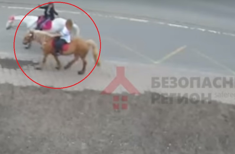 Лошади загадили город: почему ярославцы просят вернуть Слепцова. Видео