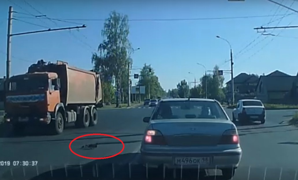 Людей бы так пропускали: водители остановились, чтобы уступить дорогу уткам в Рыбинске. Видео
