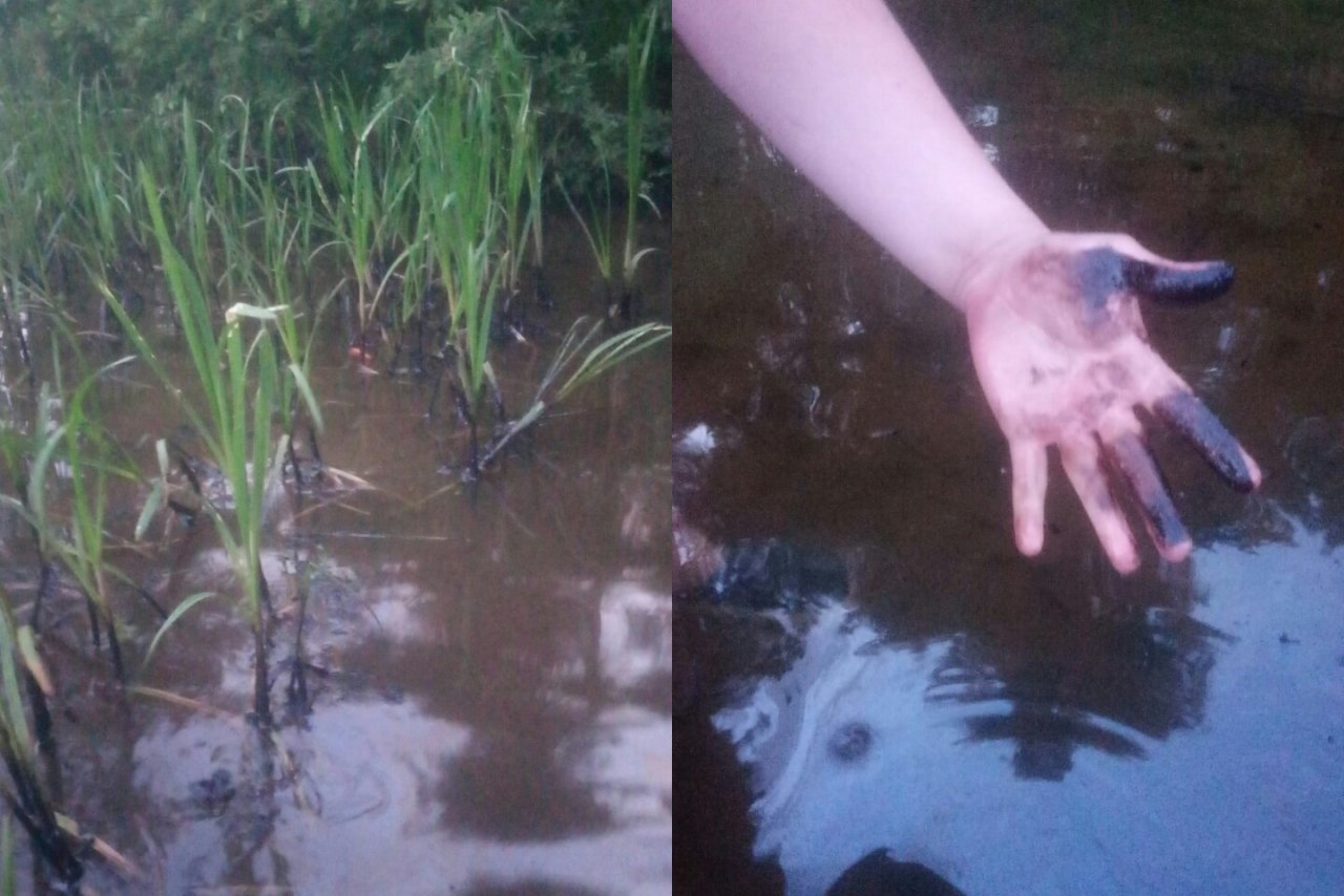 Сгустки мазута у детского летнего лагеря: под Ярославлем найден разлив нефтепродуктов