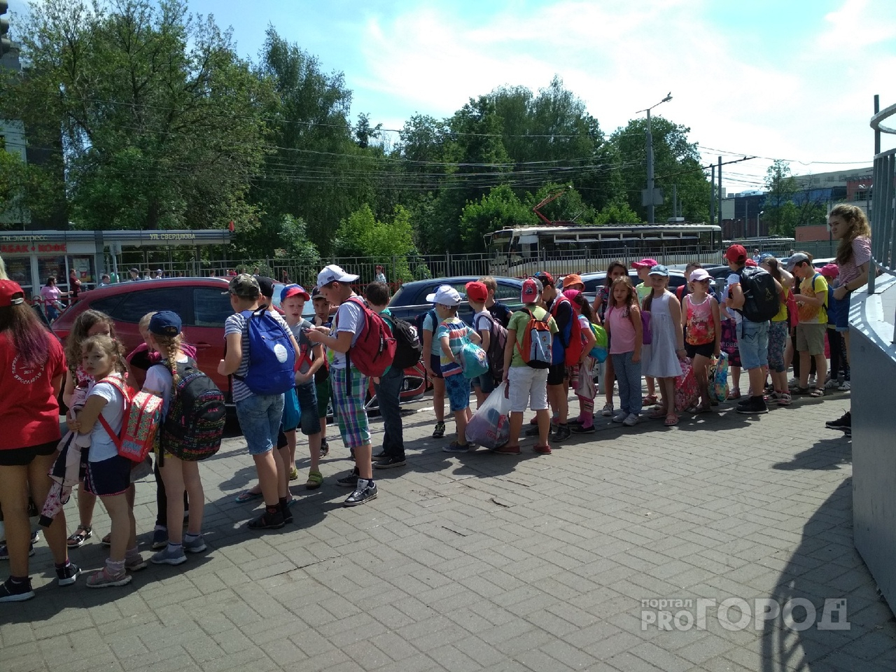 "Чтоб жизнь малиной не казалась": ярославцы возмущены скачком цен на детские кружки