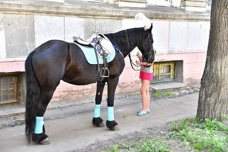 Инфекцию могут подхватить дети: чем опасно катание на лошадях, рассказали ярославцам
