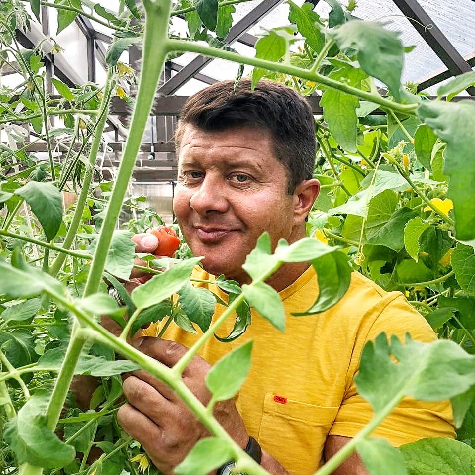 Во Слепцов дает: экс-мэр Ярославля собрался выращивать в Солнечногорске коноплю на 8 миллиардов