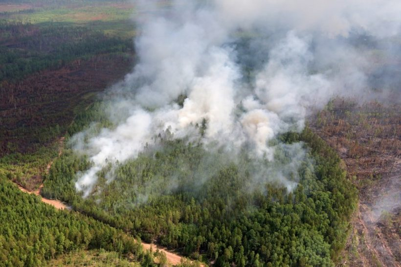 «Горят небеса»: эксперты о пожарах в Сибири, которые взбудоражили ООН