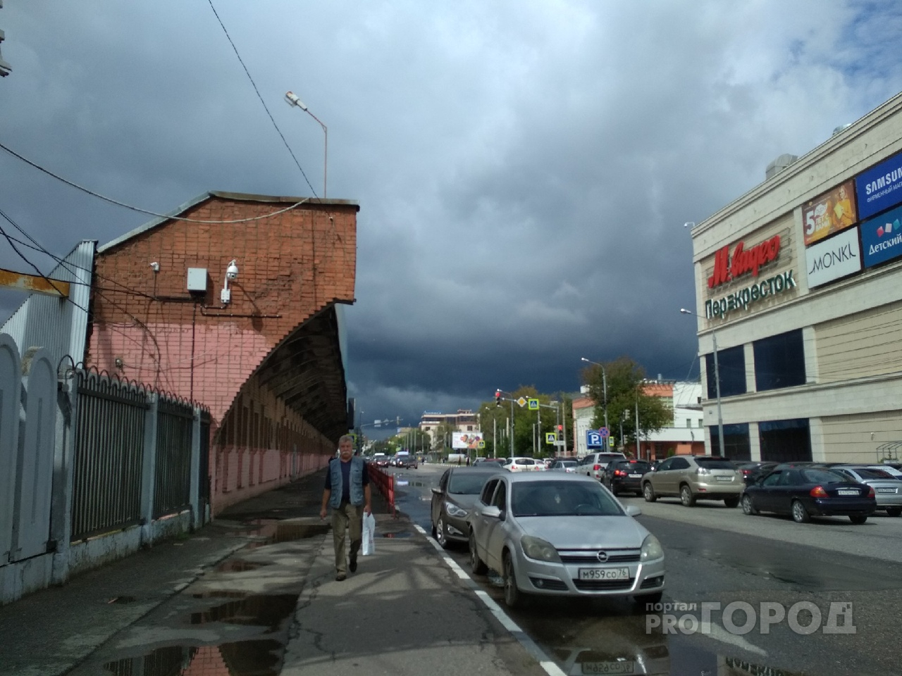Шторм повалит деревья и разрушит дома: экстренное предупреждение от МЧС Ярославля