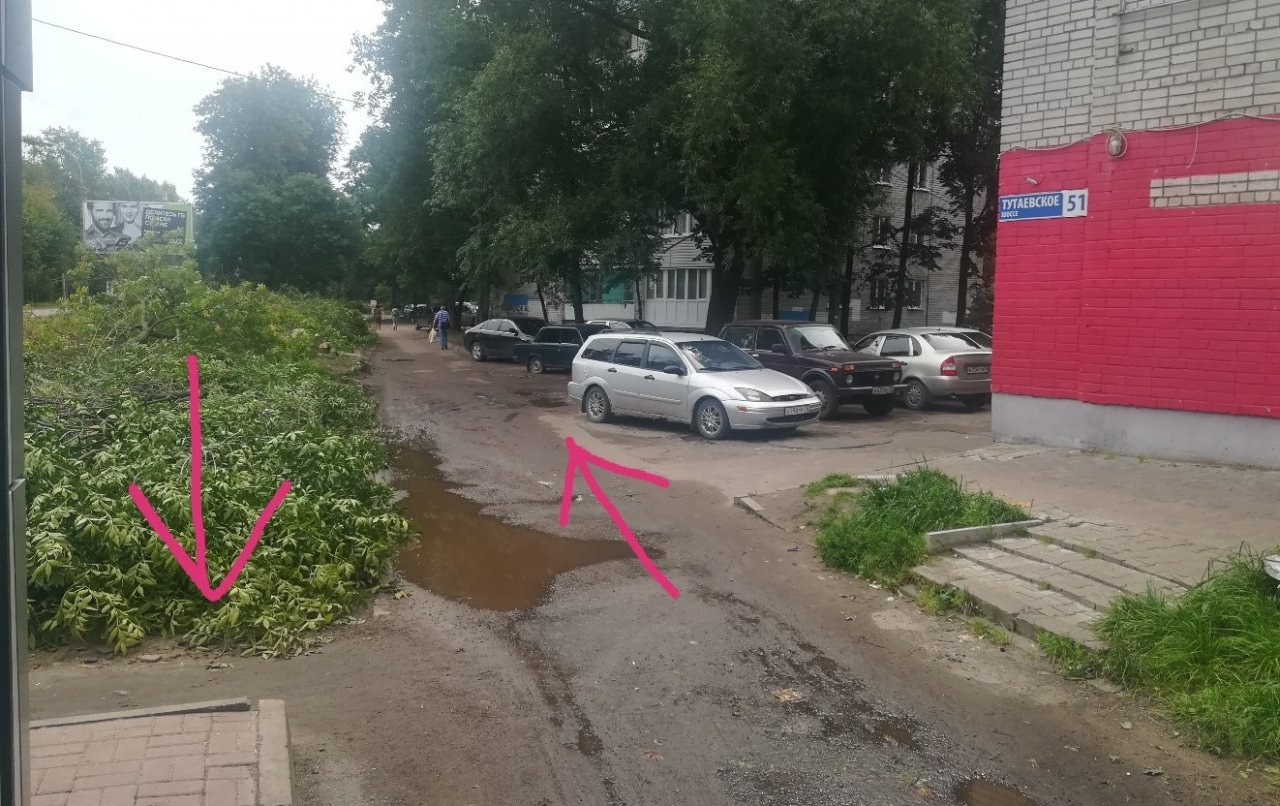 "Из подъезда сразу на дорогу": в Ярославле ради  автомагистрали вырубают деревья