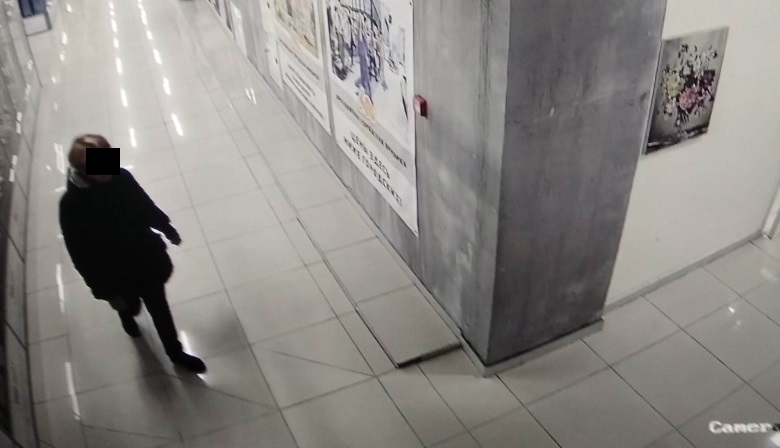 Попала на камеры: ярославцы разыскивают таинственную похитительницу