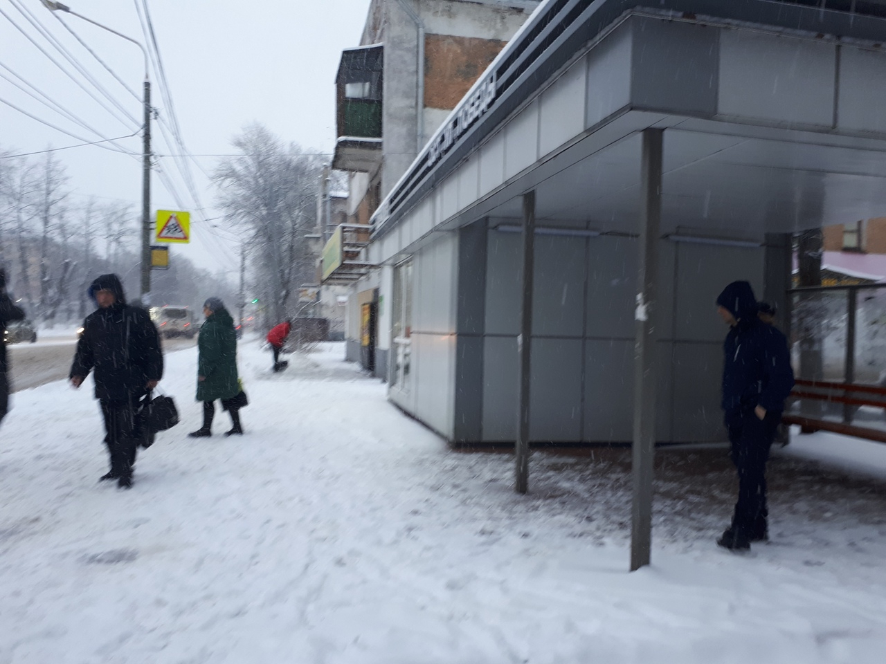 Урожай уже не спасти: морозы ударят в Ярославле