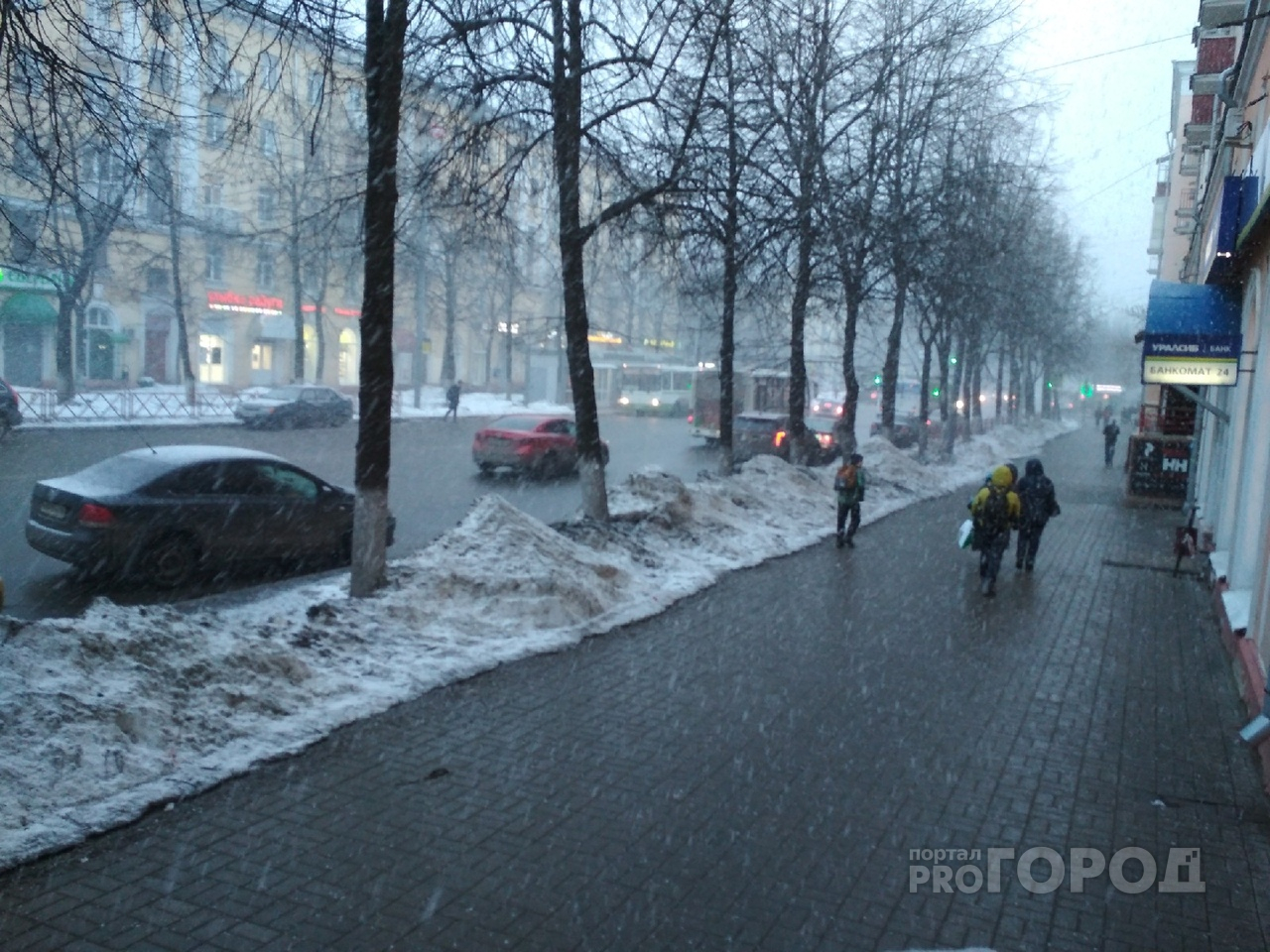 Снег выпадет ночью: экстренное предупреждение от МЧС о непогоде в Ярославле
