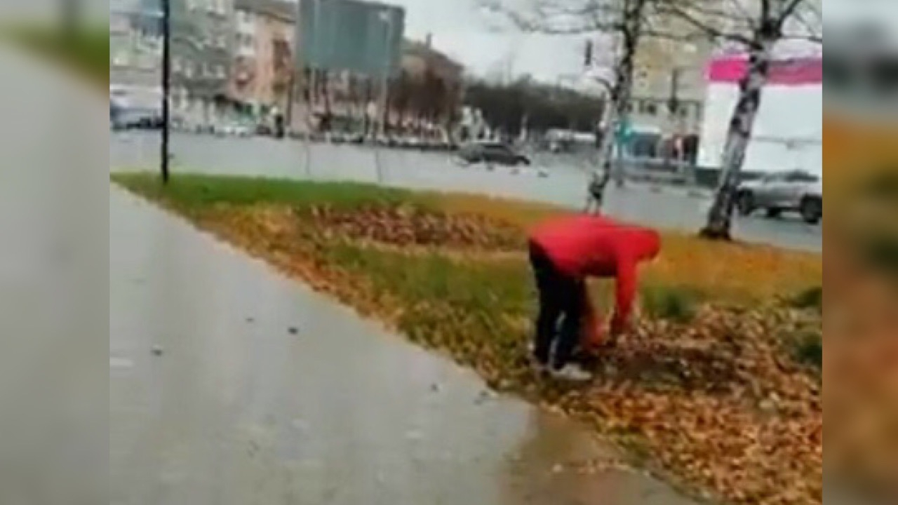 Не стесняясь камер: ярославна украла цветы с городской клумбы. Видео
