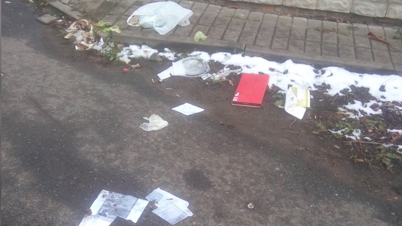 «Бросает свой мусор в чужом дворе»: соседи объявили войну наглому ярославцу