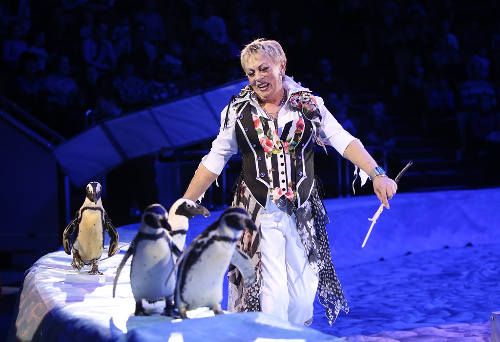 В Ярославле вновь покажут уникальное шоу пингвинов