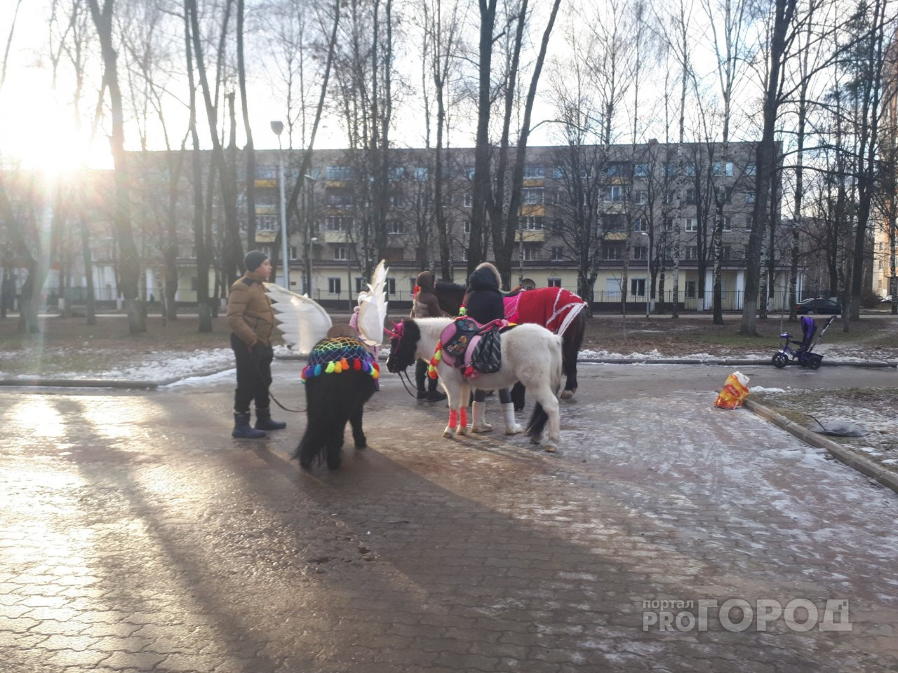 Лошади съели бюджет: чиновники обвинили животных в порче имущества в Ярославле