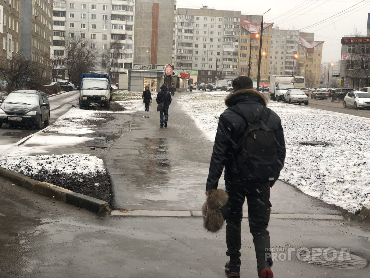 Аномальный декабрь пообещали синоптики в Ярославле