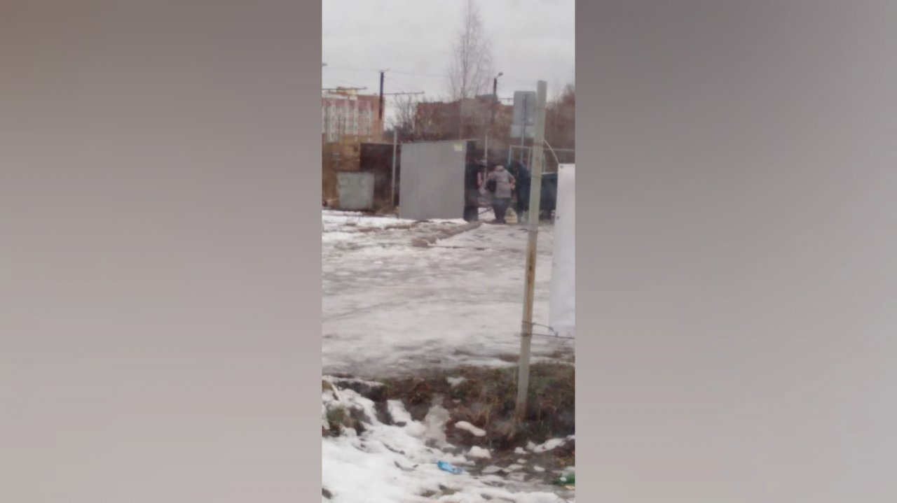 "Есть нечего, а просрочка бесплатно": фото питающихся из мусорных баков возмутила ярославцев
