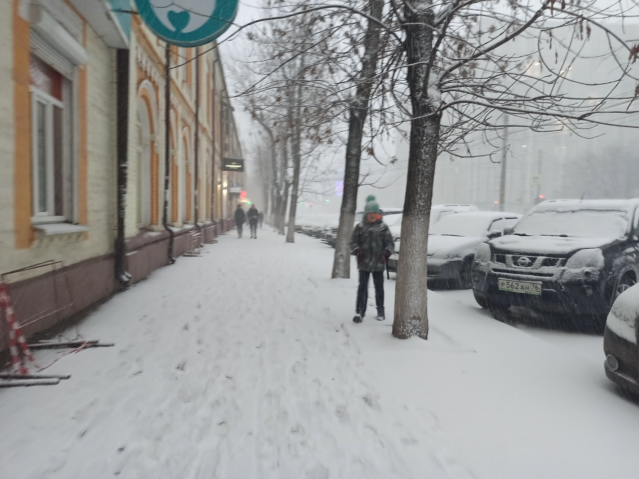 «Розовый февраль»: синоптики предупредили ярославцев об аномальных погодных условиях