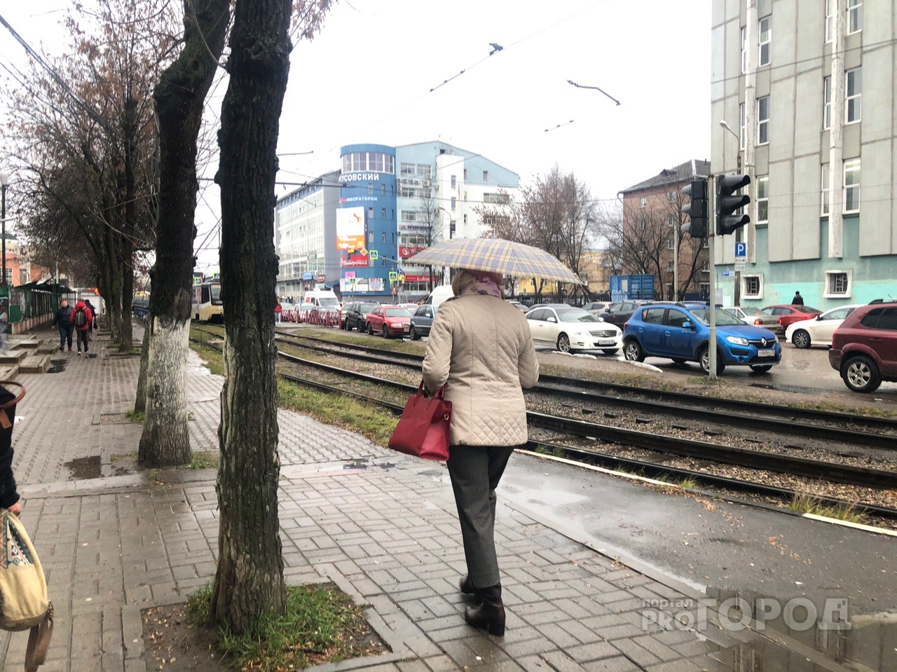 Дожди в середине февраля: синоптики о новых аномалиях в Ярославле