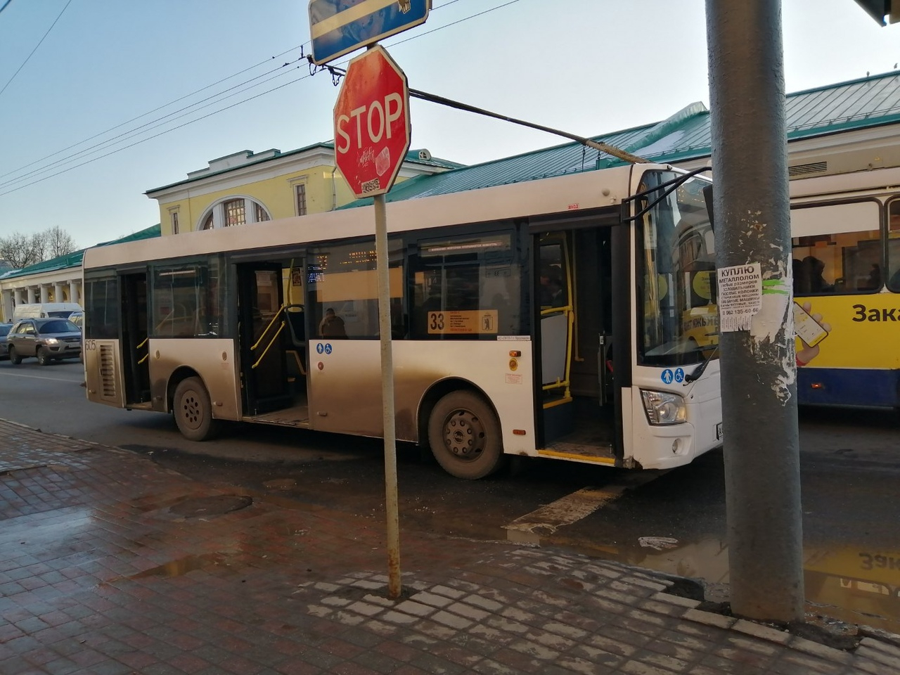 Орали на всю улицу: в центре города водитель автобуса сбил ярославну