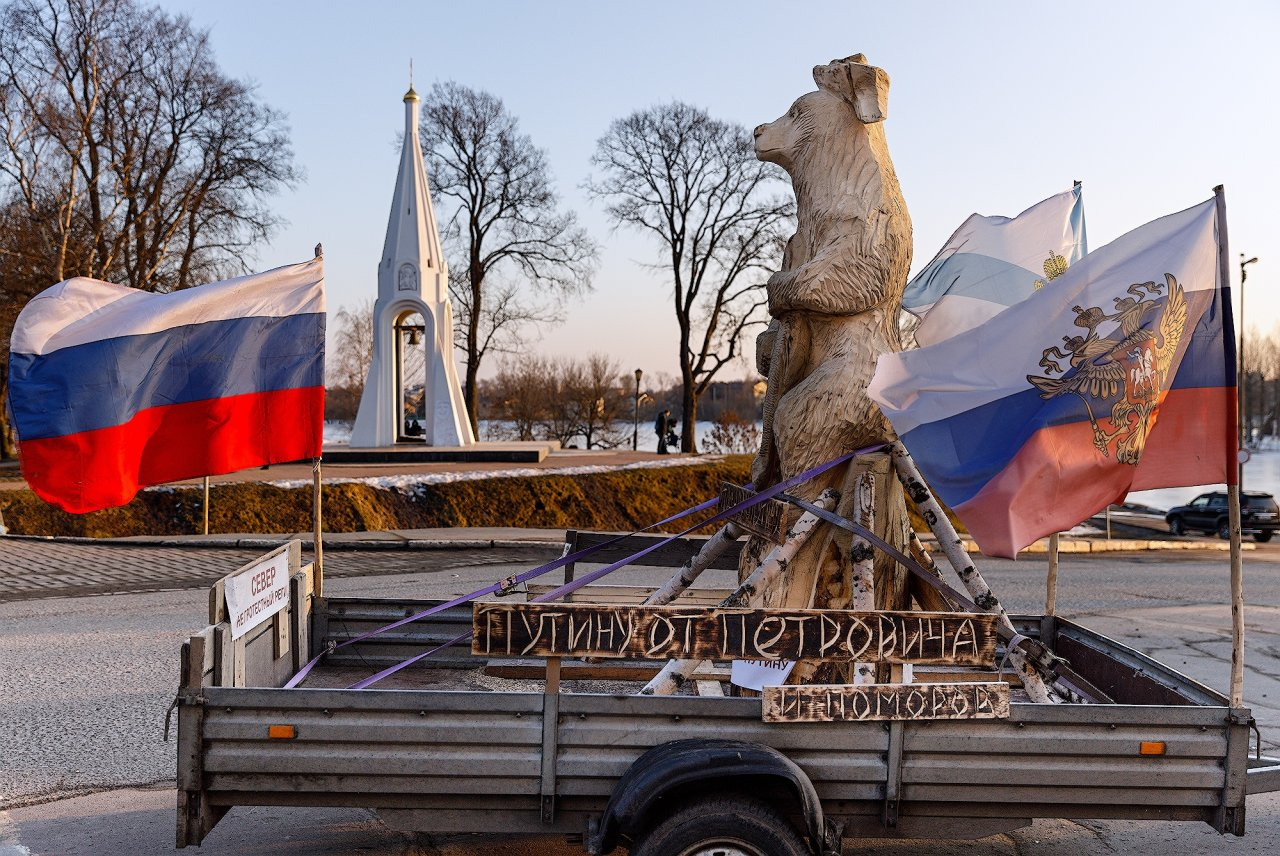 Двухметровый подарок Путину: архангельского медведя провезли по Ярославлю