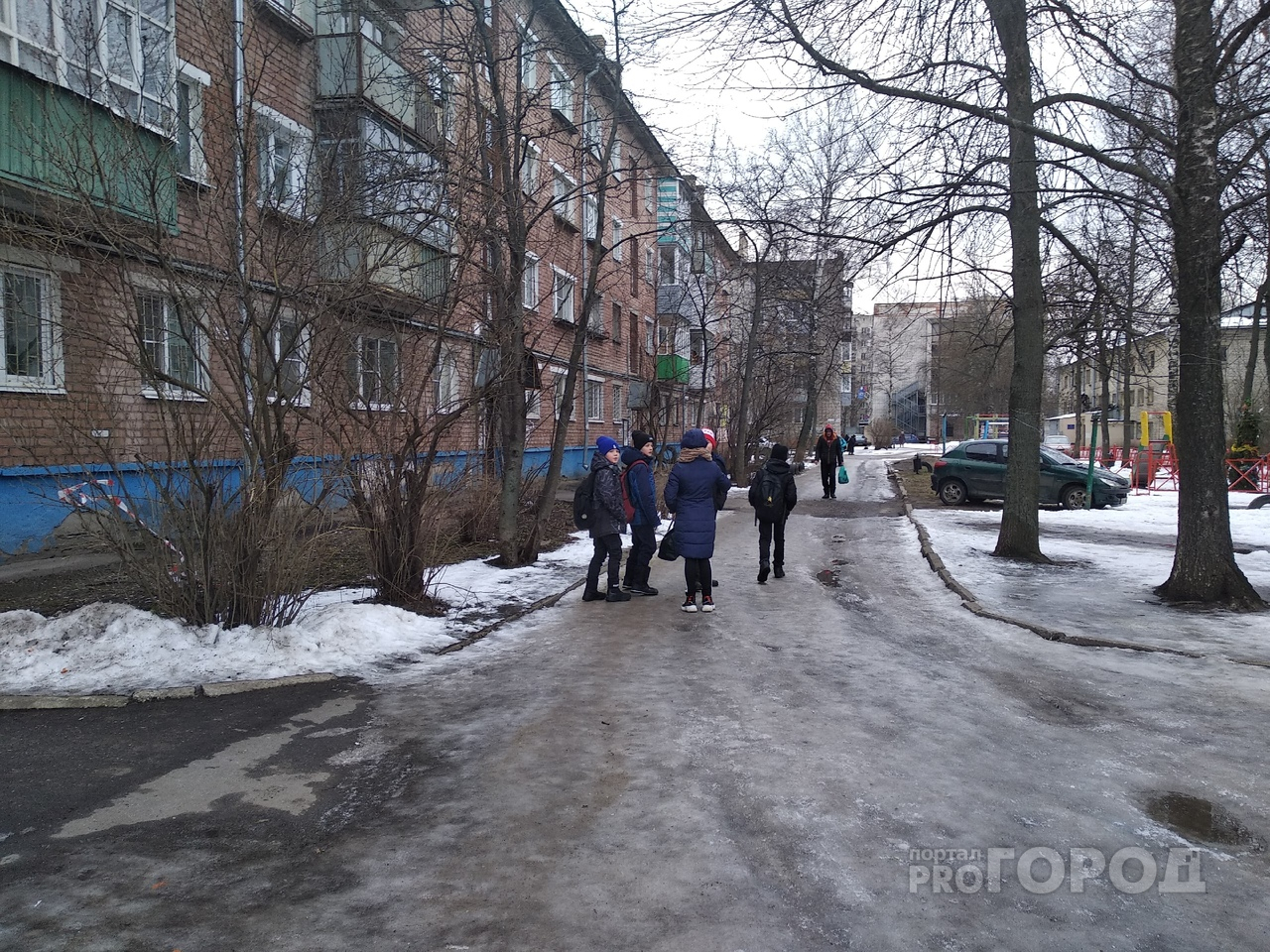 Из-за коронавируса школы Ярославля переходят на свободное обучение