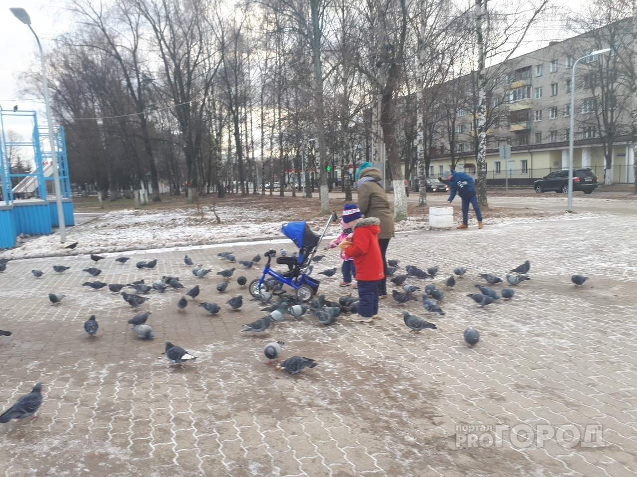 "Город выкинул деньги": блогер Варламов о парке Ярославля, отремонтированном за 23 миллиона