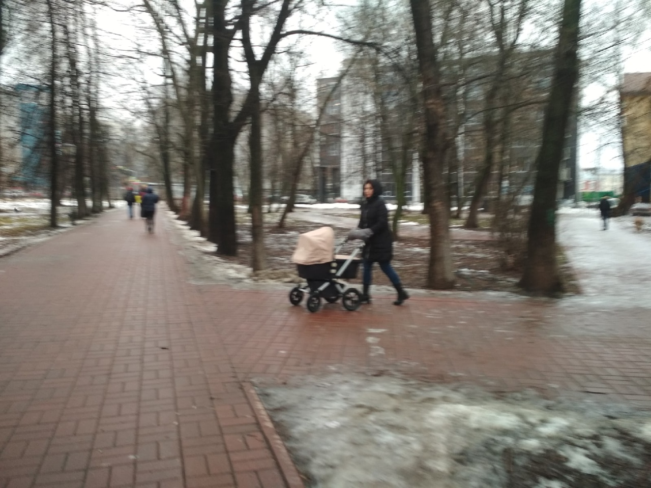 Детские коляски: как выбрать и где купить со скидкой в Ярославле