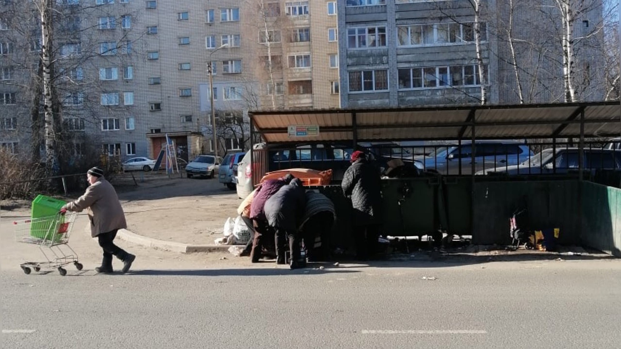 "Битва за просрочку": народ толпами штурмует мусорки в Ярославле