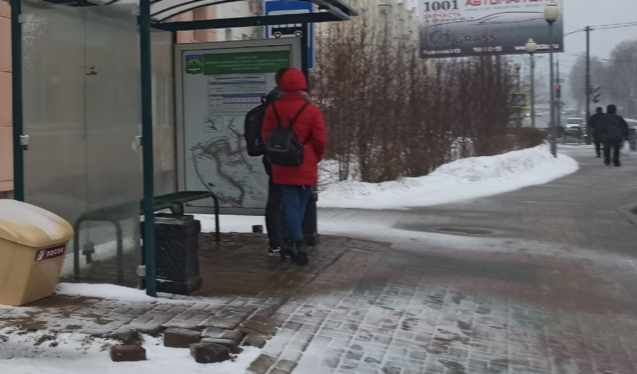 Общественный транспорт Ярославля сокращает маршруты: расписание и телефоны