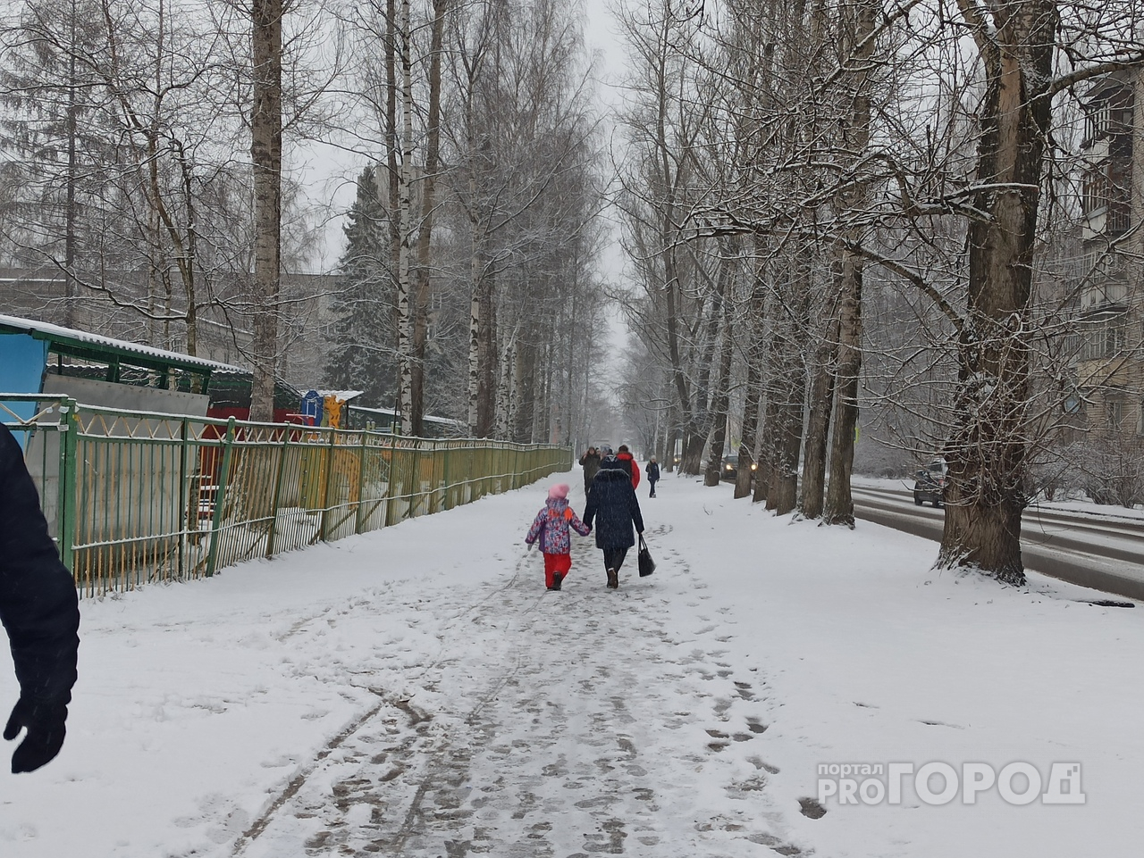 Доставайте зимние куртки: синоптики предупредили ярославцев о резком похолодании на выходных