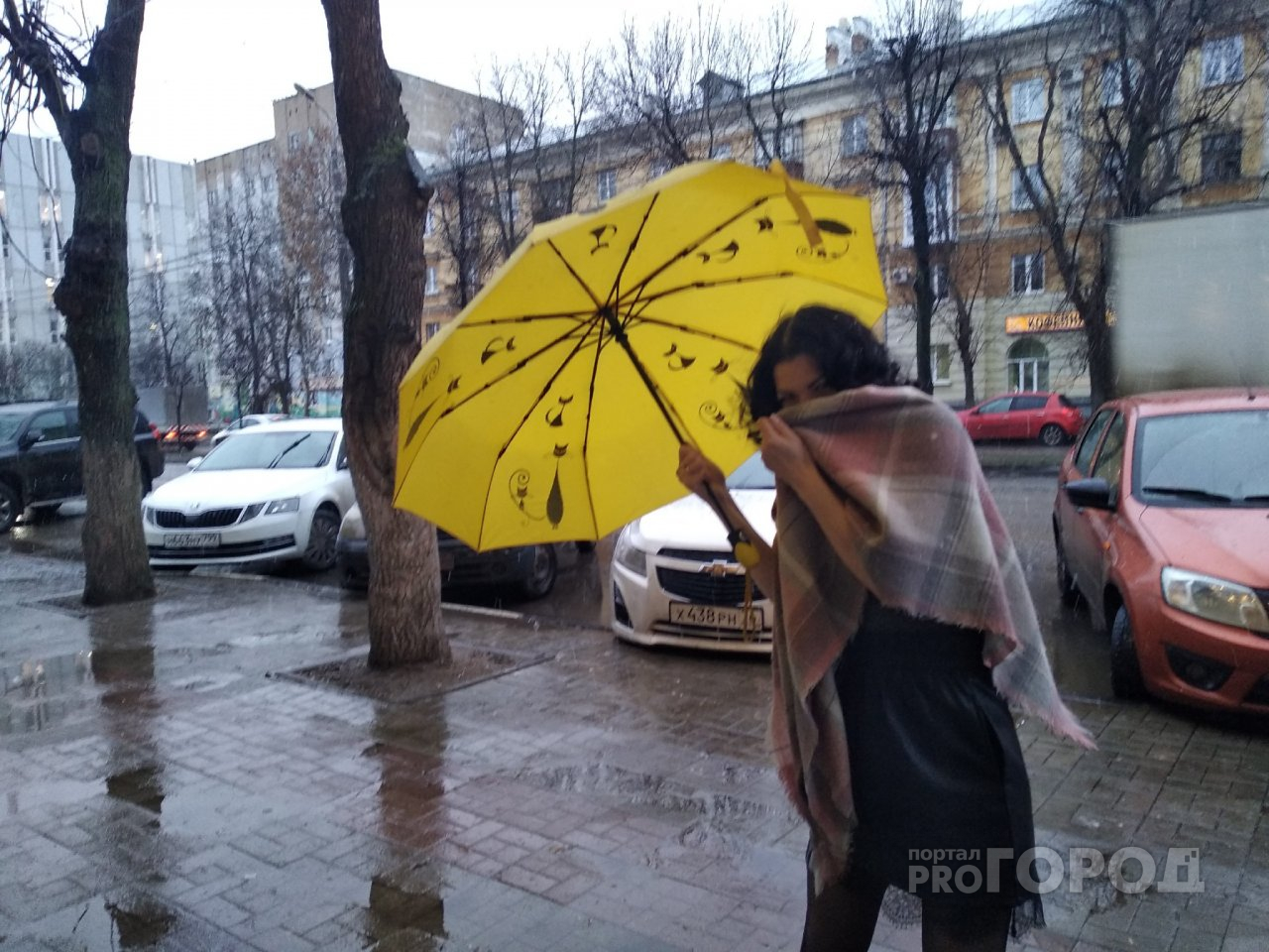 "Желтый уровень опасности":  в МЧС предупредили ярославцев о погоде на майских