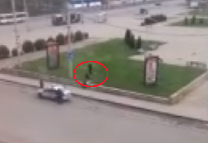 "Подошел к выгулившему собаку": полицейский застрелил пса в Рыбинске. Видео