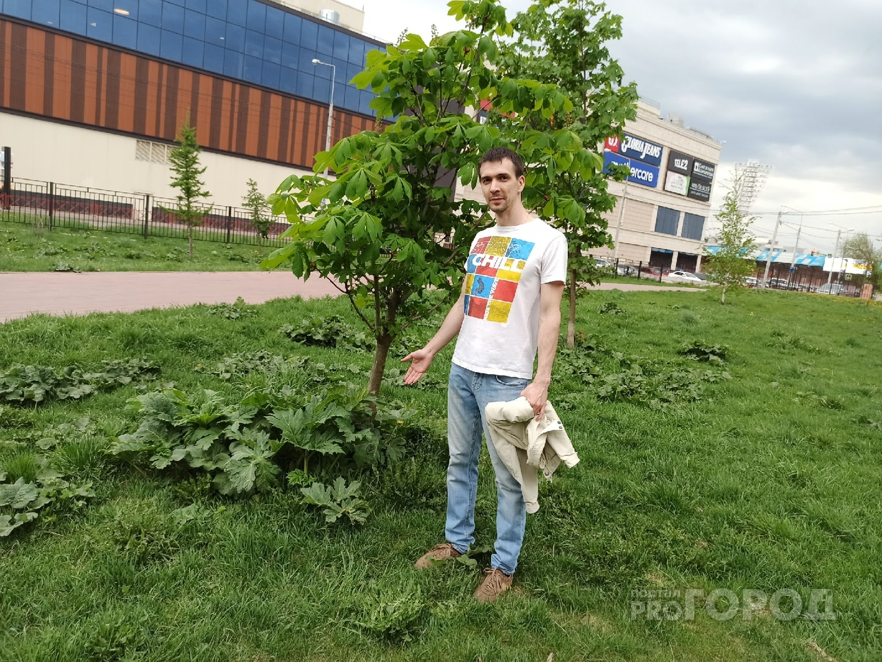 Борщевик захватывает центр Ярославля и парки: ответ властей