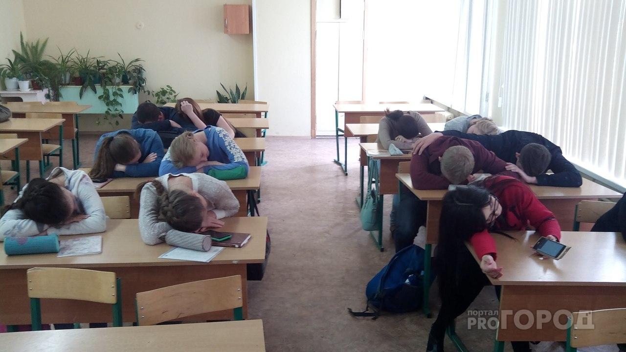 "Зона по группам": против новых мер школьного образования высказались ярославцы