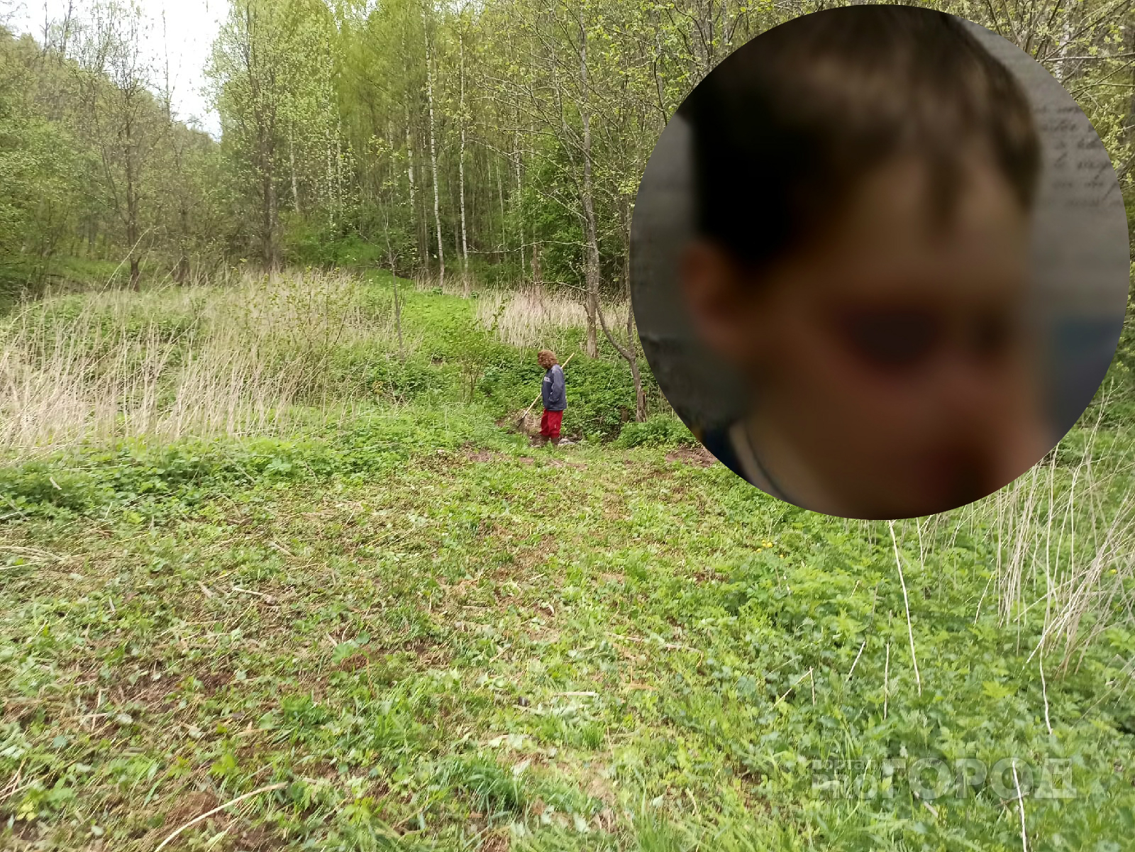 Сначала услышали крики: пропавшего малыша нашли в лесу под Ярославлем