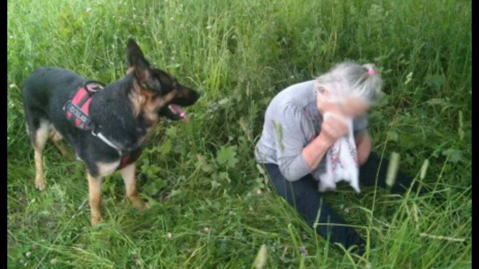Бабушка рыдала, сидя на корточках: собака отыскала пропавшую ярославну в лесу